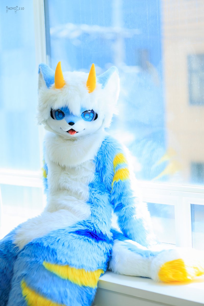 #FursuitEveryday

날씨가 정말 좋은 것 같아!

📷 : <a href="/HOYO_110/">HOYO (호요)</a>