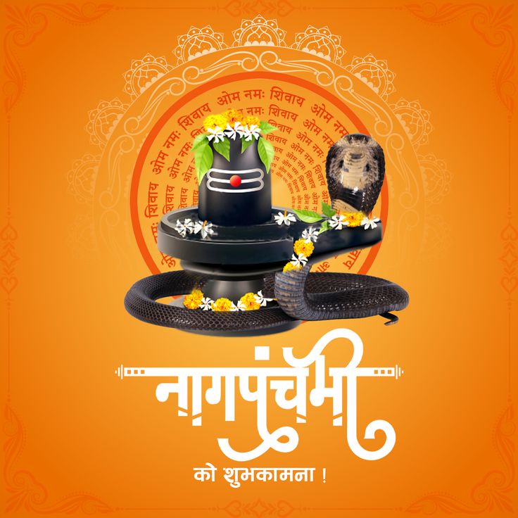 सावन के महीने में नाग पंचमी का त्योहार है

भगवान शिव के गले में सापों का हार है

जो करे सच्चे दिल से सापों की पूजा उसका बेड़ा पार है

नाग पंचमी के इस पावन अवसर पर,

आपका घर प्रेम,

सुरक्षा और समृद्धि से भर जाए,

नाग पंचमी की शुभकामनाएं।🐍🐍🕉️🕉️🚩🚩🚩