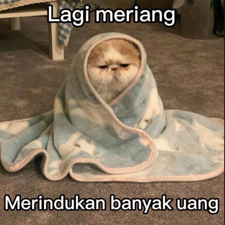 JaraanSS's tweet image. 