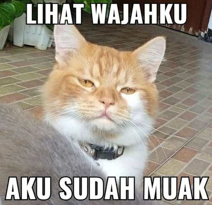 JaraanSS's tweet image. 
