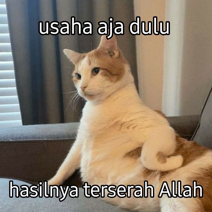 JaraanSS's tweet image. 