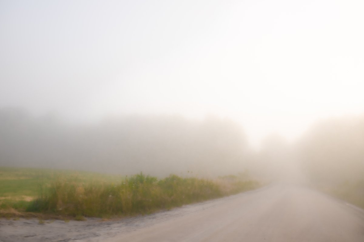 fotogosaurus's tweet photo. the road to find out https://t.co/Atr7q8kHrg #VT #Vermont #NewEngland #MiddleRoad #MiddleWay #July #Summer #dreaming #downTheRoad #DirtRoad #CountryRoad #remember #reflect #lookBack #CaptureTheMist #Fog #Mist #Follow #EarlyAM #EarlyMorning #travel #Journey #DownTheLine https://t.co/n3MsaotfHw