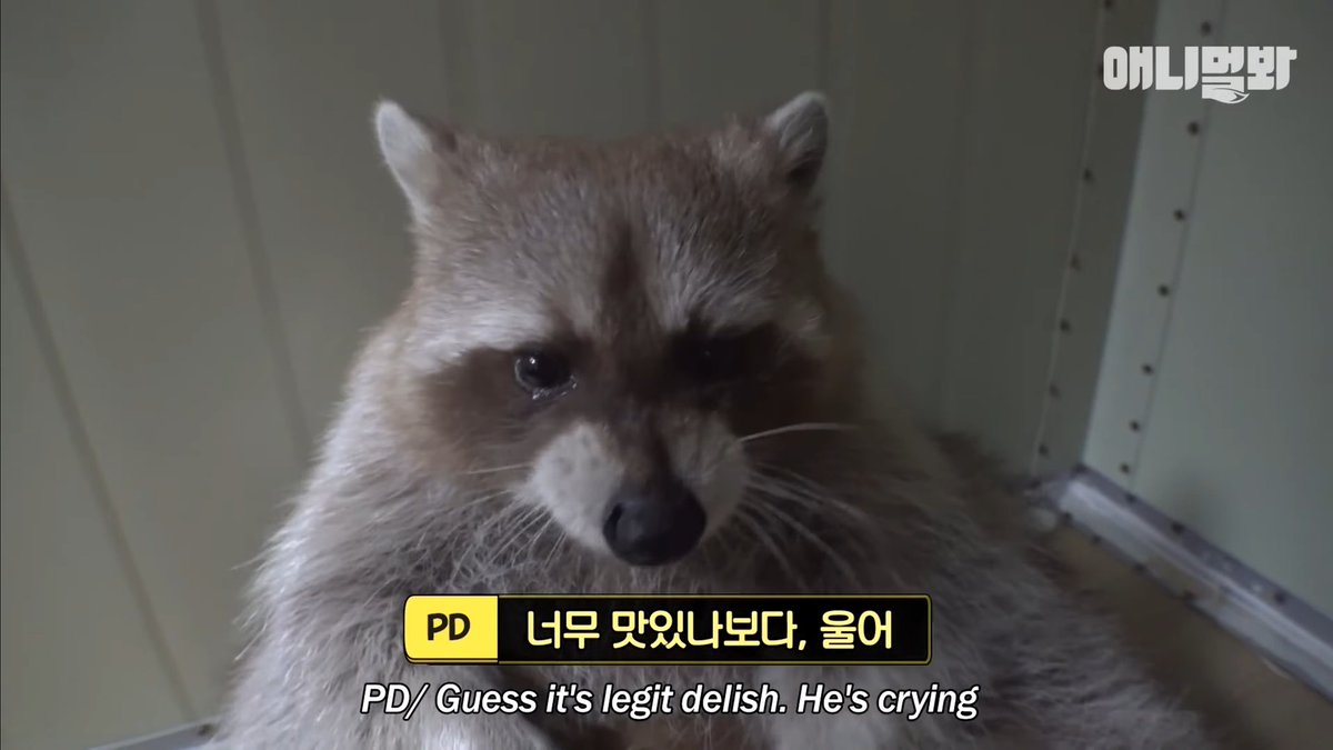 popnmicchan's tweet image. 