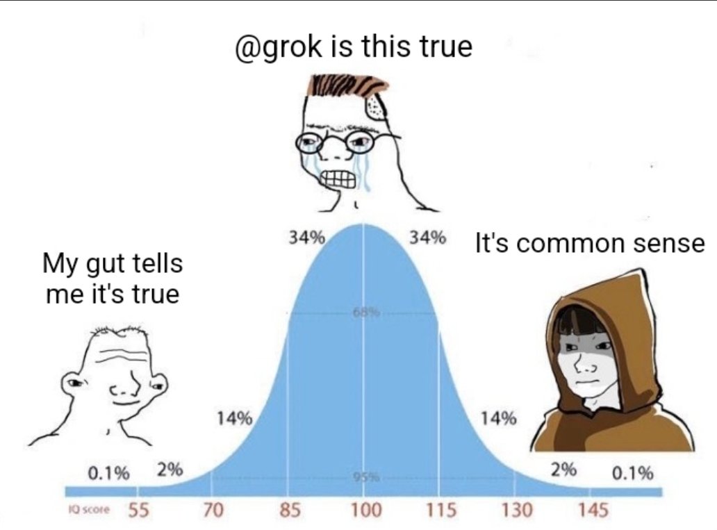RustyOldJack's tweet image. Grok is just a glorified mask for &quot;the experts.&quot;