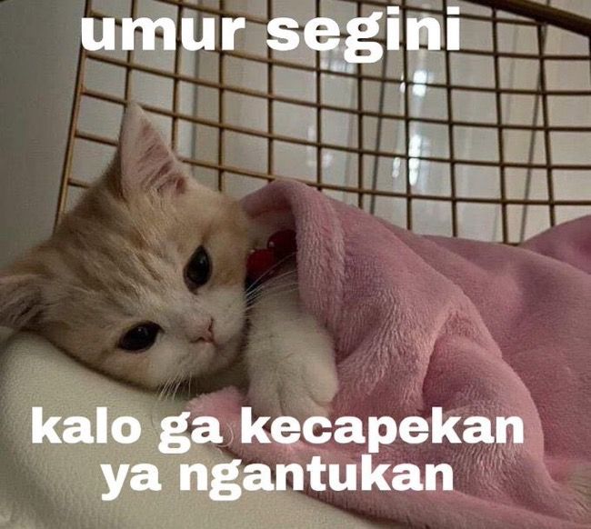 JaraanSS's tweet image. 