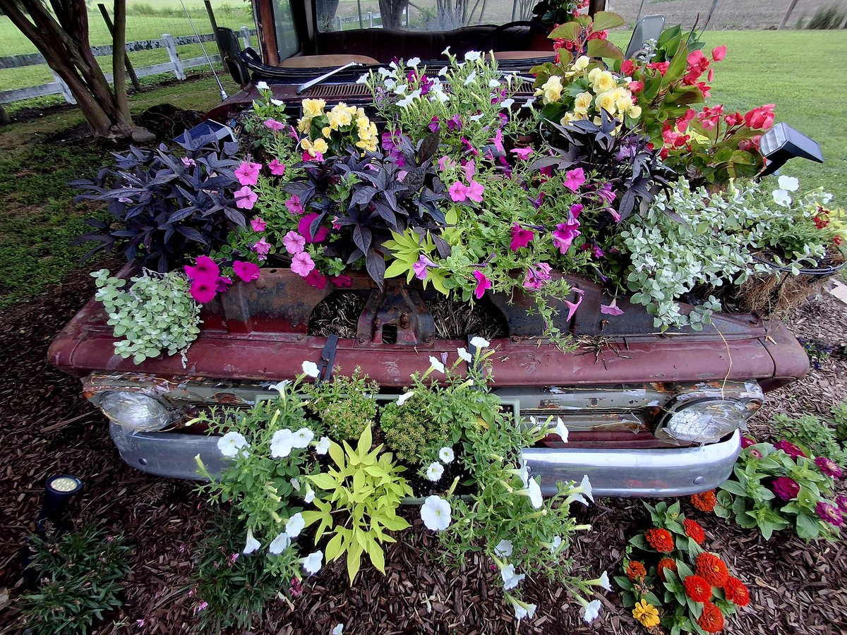 danibecsam tweet media