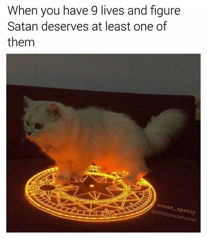 Satan (@s8n) on Twitter photo 