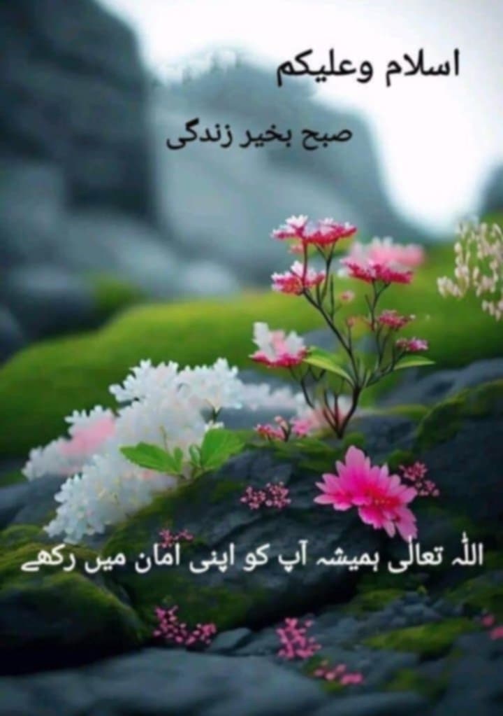 Javed60M's tweet image. السلام علیکم و رحمت اللہ و برکاتہ
صبح بخیر