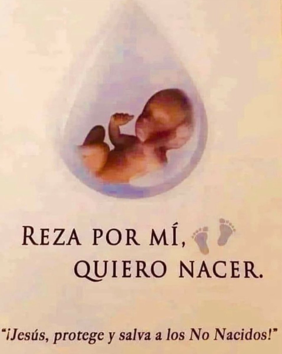 ClaudioMercadoR's tweet image. Di si a la Vida !!!