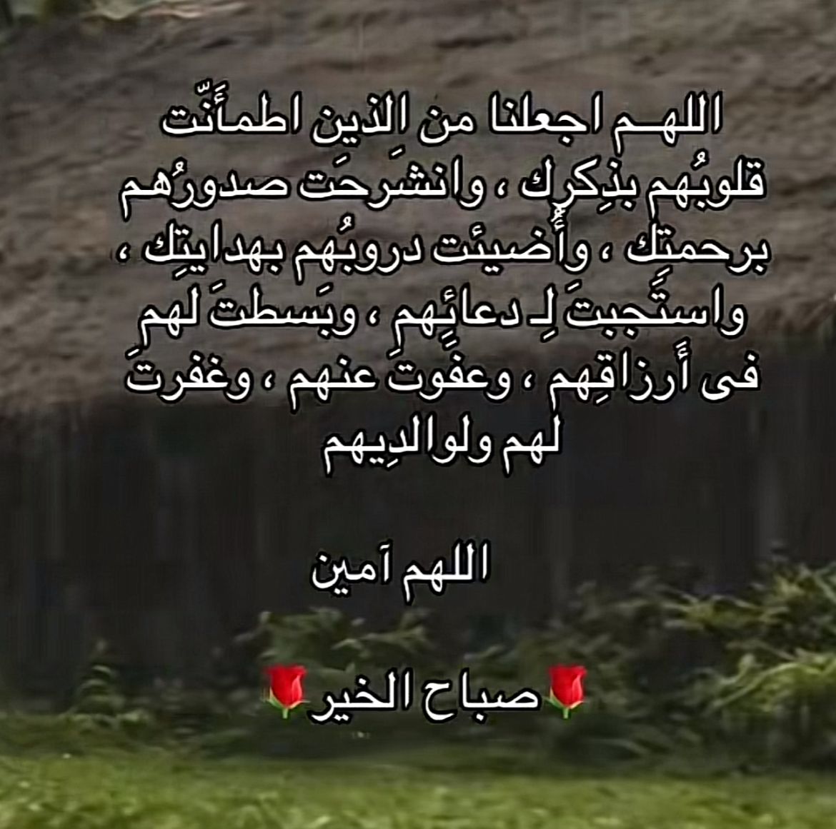 Ja____ck1's tweet image. لكي تفهم الحياة جيدا عليك أن تزور ثلاثة أماكن.
المستشفى و السجن والمقابر
بالمستشفى ستقتنع بأن لا شيء أغلى من الصحة.
و بالسجن ستكتشف بأن لا يوجد أغلى من الحرية.
بالمقابر ستتأكد بأن الحياة لا تستاهل حمل كل هذه الهموم.
اللهم زولوفيتش و متابعيه الكرام...