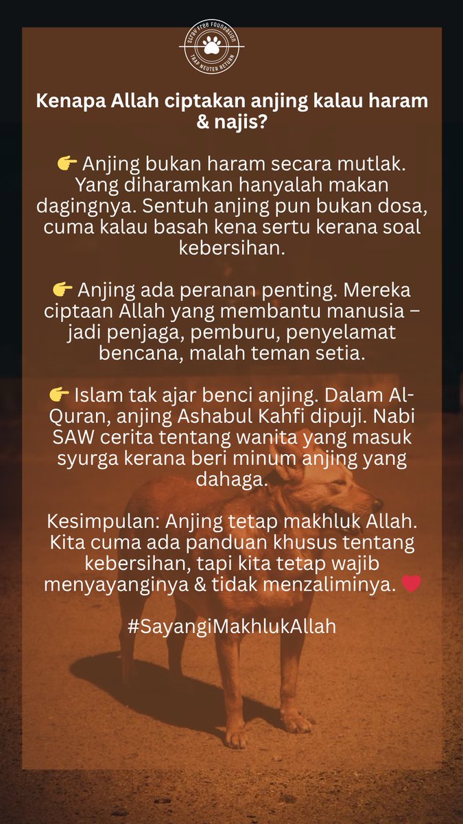 Anjing jugak makhluk ciptaan Allah. Ada sebab mereka wujud di dunia ini. Berdosa jika kita menzalimi mereka.