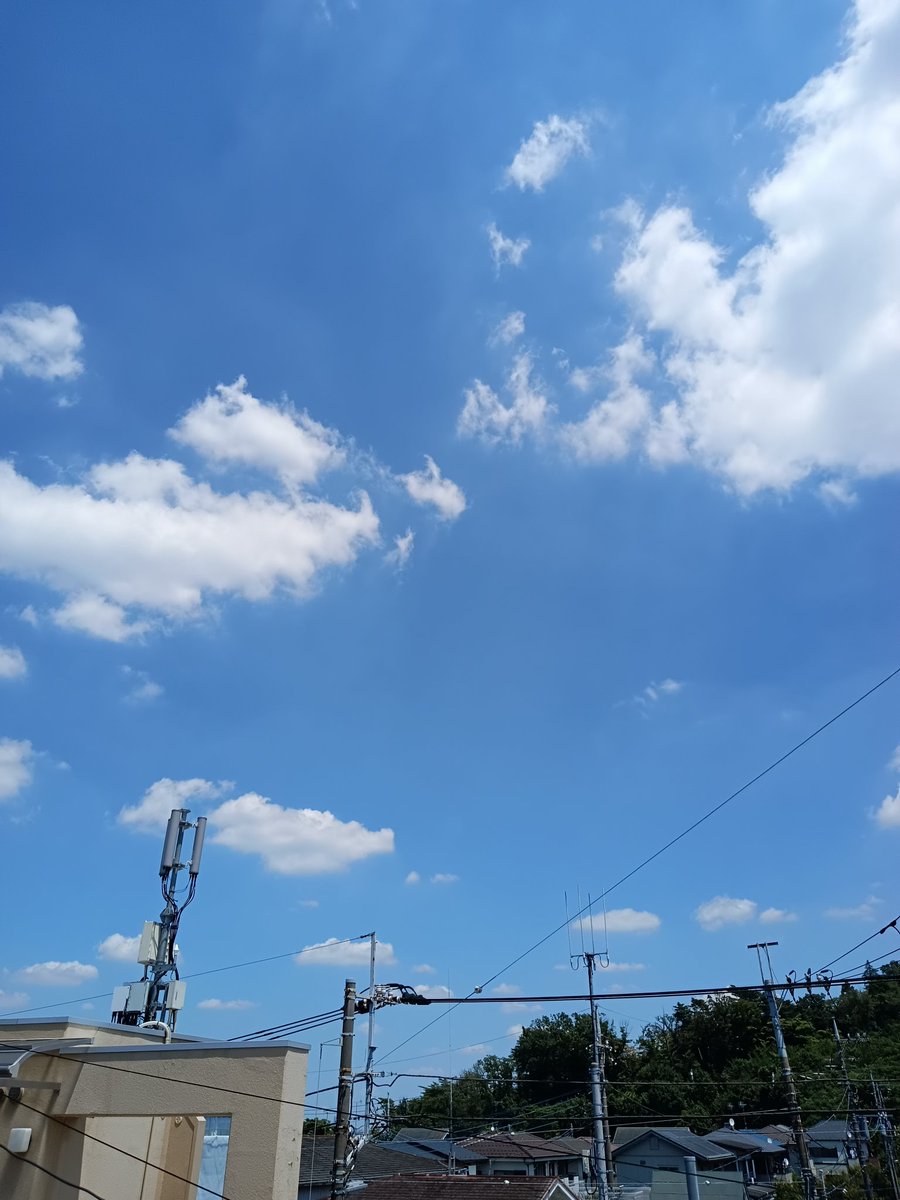 NobuakiAwagi's tweet image. こんにちは(⌒▽⌒)
今ソラ
日野市は晴れてて暑いです🥵💦💦💦
午後も無理せずゆっくり乗り切りましょう(`・ω・´)ゞ
しっかり水分と塩分を🥤🍬