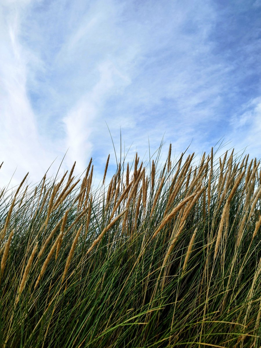 Thomas (@northerntomato) on Twitter photo 