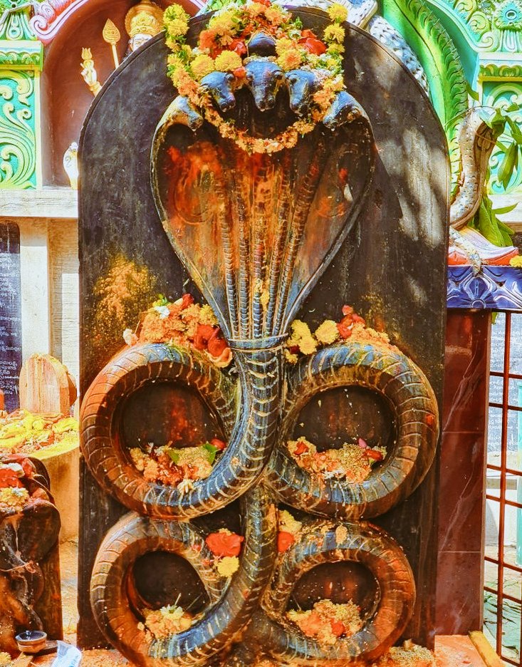 ॐ भुजंगेशाय विद्महे, सर्पराजाय धीमहि, तन्नो नाग: प्रचोदयात्।।
"आप सभी को नागपंचमी के पावन पर्व की हार्दिक शुभकामनाएँ।"   ॐ नमः शिवाय 🔱
