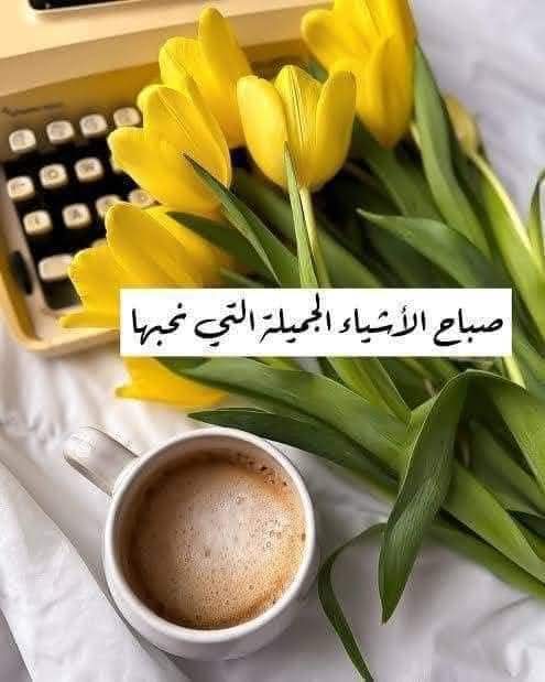صباح الخير 
للمشرقينَ مع الصّباحِ دواما
والمزهرين محبةً ووئاما
للباعثينَ مع النّسيمِ سرورَهمْ
والهاطلينَ تبسُّمًا وسلاما
طبتم وطاب مع الشروق صباحُكم
ولكم حملنا الوردَ والأنساما
صباح_الورد  ❤️
لمن ينتظرنا كل صباح ليبادلنا التحية والكلمة العذبة 
و الدعوات 
#صبااح_الخيروالسعادة