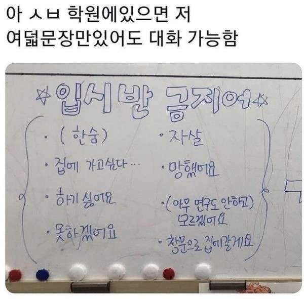랜덤짤 (@mank9241) on Twitter photo 