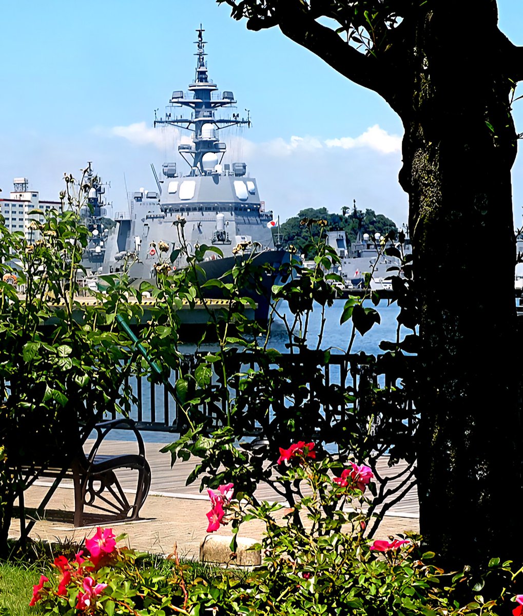 薔薇と護衛艦「てるづき（JS Teruzuki, DD-116）」。