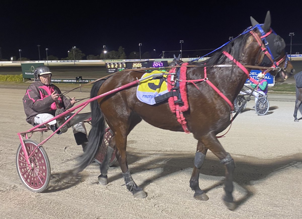 Ships Spur has sired two foals for two winners, including 8yo mare ALZAE MAE (bred/owned/trained/driven by Brett Shipway) which won <a href="/WoodlandsStudNZ/">Woodlands Stud NZ</a> TROT <a href="/Bdtc150/">Ballarat & District Trotting Club</a>