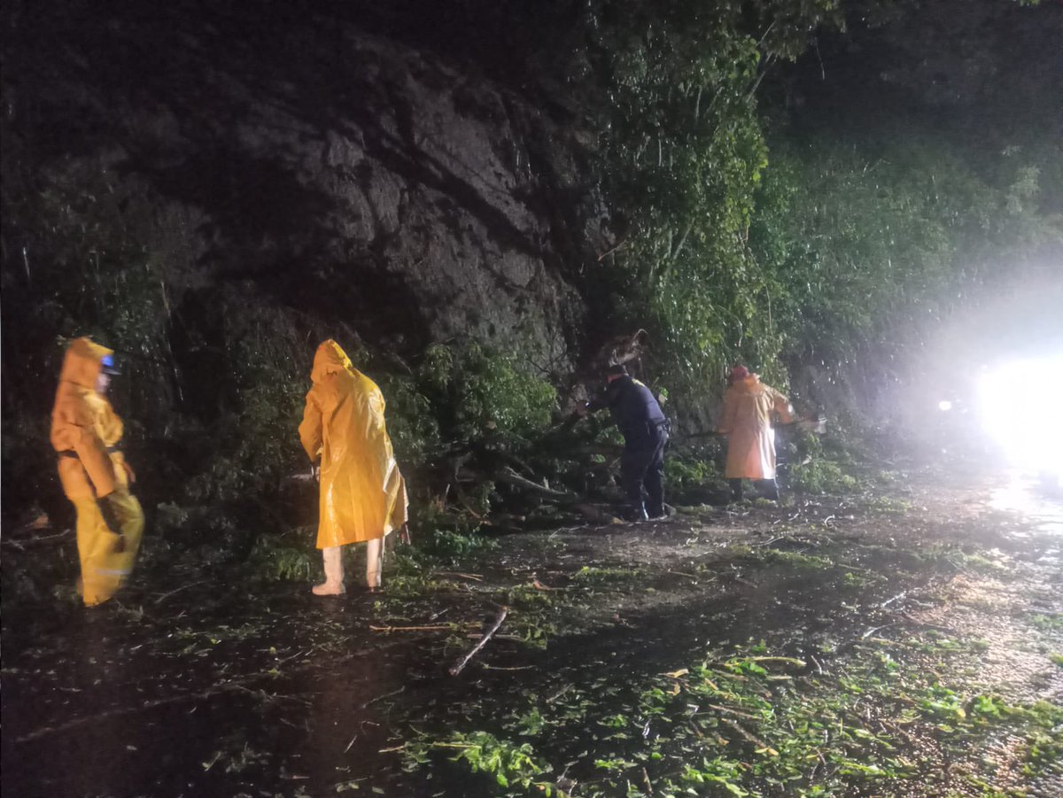 PNCSV's tweet image. ⚠️PRECAUCIÓN⚠️
Verificamos un árbol caído sobre la calle Monseñor Romero, en las inmediaciones del puente Las Mulas, Soyapango, San Salvador Este.
Trabajamos junto a otras instituciones para habilitar el paso.