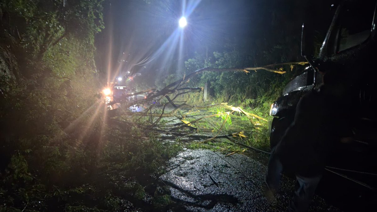 PNCSV's tweet image. ⚠️PRECAUCIÓN⚠️
Verificamos un árbol caído sobre la calle Monseñor Romero, en las inmediaciones del puente Las Mulas, Soyapango, San Salvador Este.
Trabajamos junto a otras instituciones para habilitar el paso.