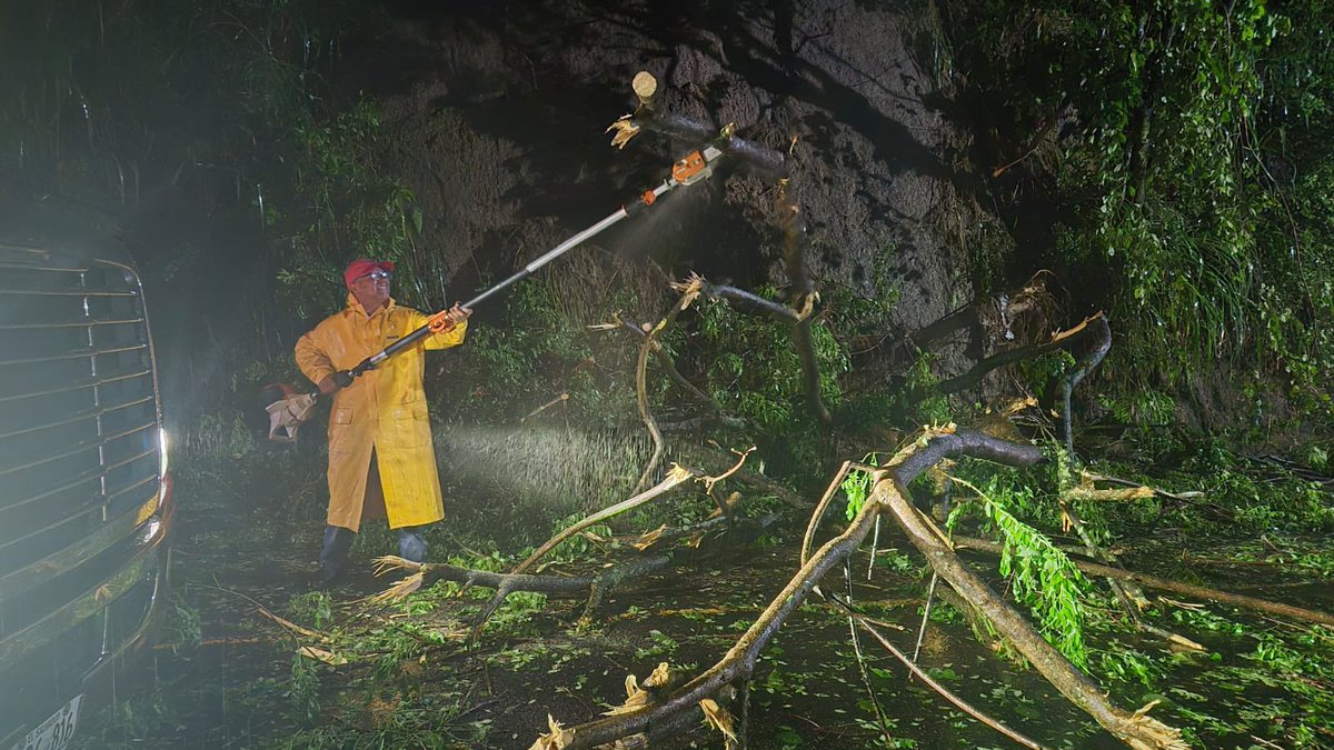 PNCSV's tweet image. ⚠️PRECAUCIÓN⚠️
Verificamos un árbol caído sobre la calle Monseñor Romero, en las inmediaciones del puente Las Mulas, Soyapango, San Salvador Este.
Trabajamos junto a otras instituciones para habilitar el paso.