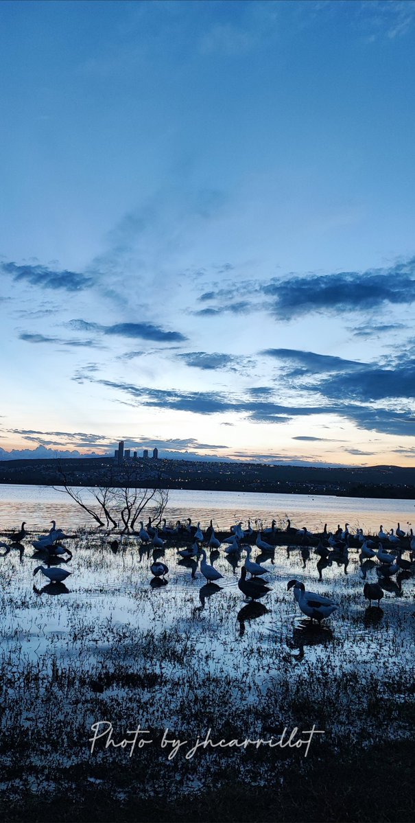 «Entre azul y buenas noches».