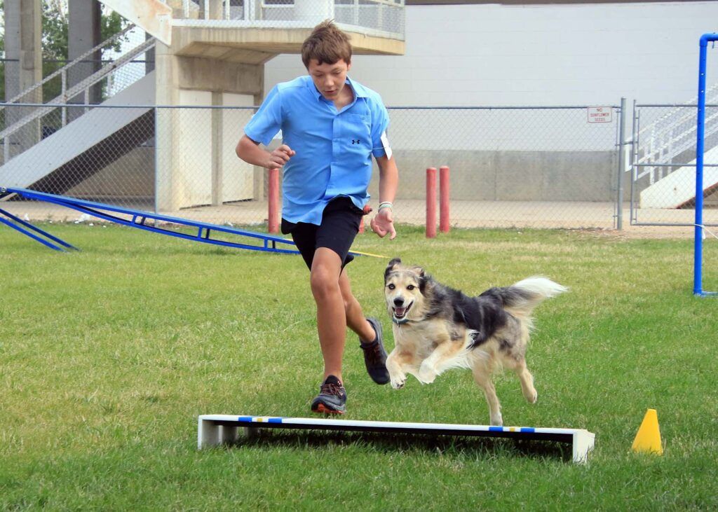2025 Sheridan Fair Dog Show sheridanmedia.com/media-2/photos…