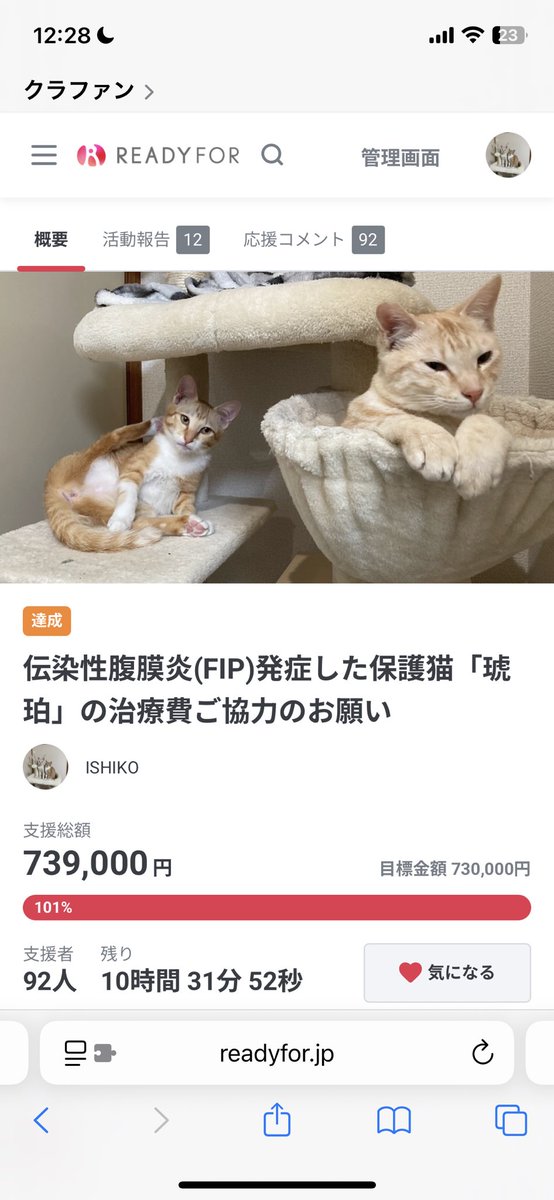 koha_hisu_cat's tweet photo. FIP治療のためのクラファン、目標達成しました！
たくさんのご支援・応援、本当にありがとうございました🐾
引き続き治療がんばります。経過も発信していきますので、見守っていただけたら嬉しいです！

PS.正式な検査結果を今日もらいました！
無事にお薬卒業です！ https://t.co/iAlE9ALaZp
