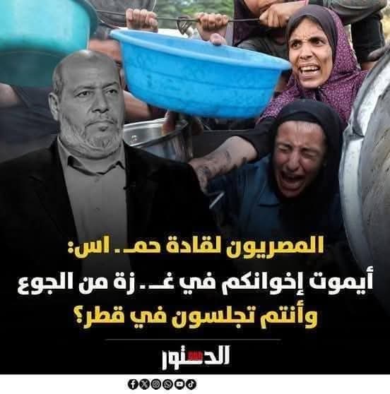 TysonS53812719's tweet image. ⛔ قادة ولاد كلب انجاس
كل معرص فيهم قاعد برا ومش فارق معاه اهل بلده ورافضين تسليم الاسرى او الجثث اللي معاهم علشان يبقى الوضع على ما هو عليه
محتجز ١٠٠ جثة و راح قصادهم ٨٠ الف قتيل ونص مليون جريح ومليون ونص مشرد وبلد ضاعت بسبب شوية خونة بيقولوا غزة انتصرت
مبروك عليكم النصر 😏