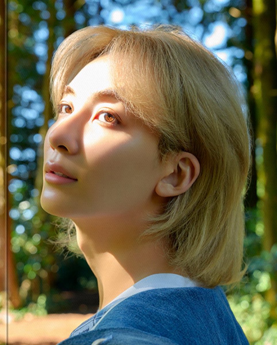 iwolfgyu's tweet image. wow jeonghan wow 🤩