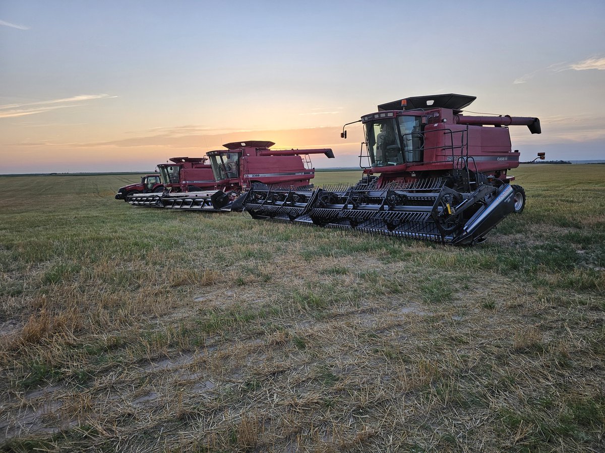 Pretty big time #wheat harvest crew in the year 2000.