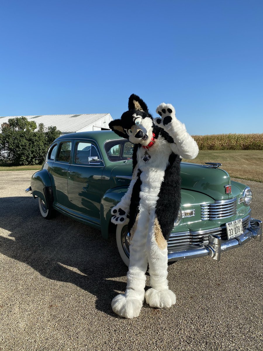 MastersRex's tweet photo. Hi There !  Want a ride ? https://t.co/fJwiop1lld