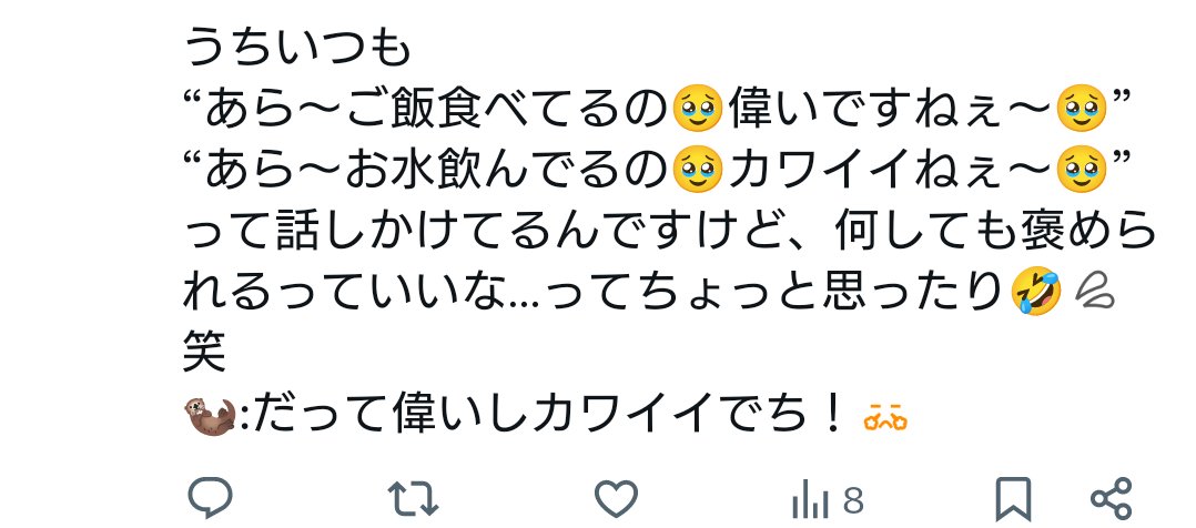 shallowsleep21's tweet image. ↓、さっき仲良しフェレ友さんに送った私のリプなんだけど、フェレに限らずペットと暮らしてる全飼い主さんこれじゃない?思った😂💦
いやホント、お水飲んでてもご飯食べてても寝てても遊んでても、何してても尊いのよ…😭🙏