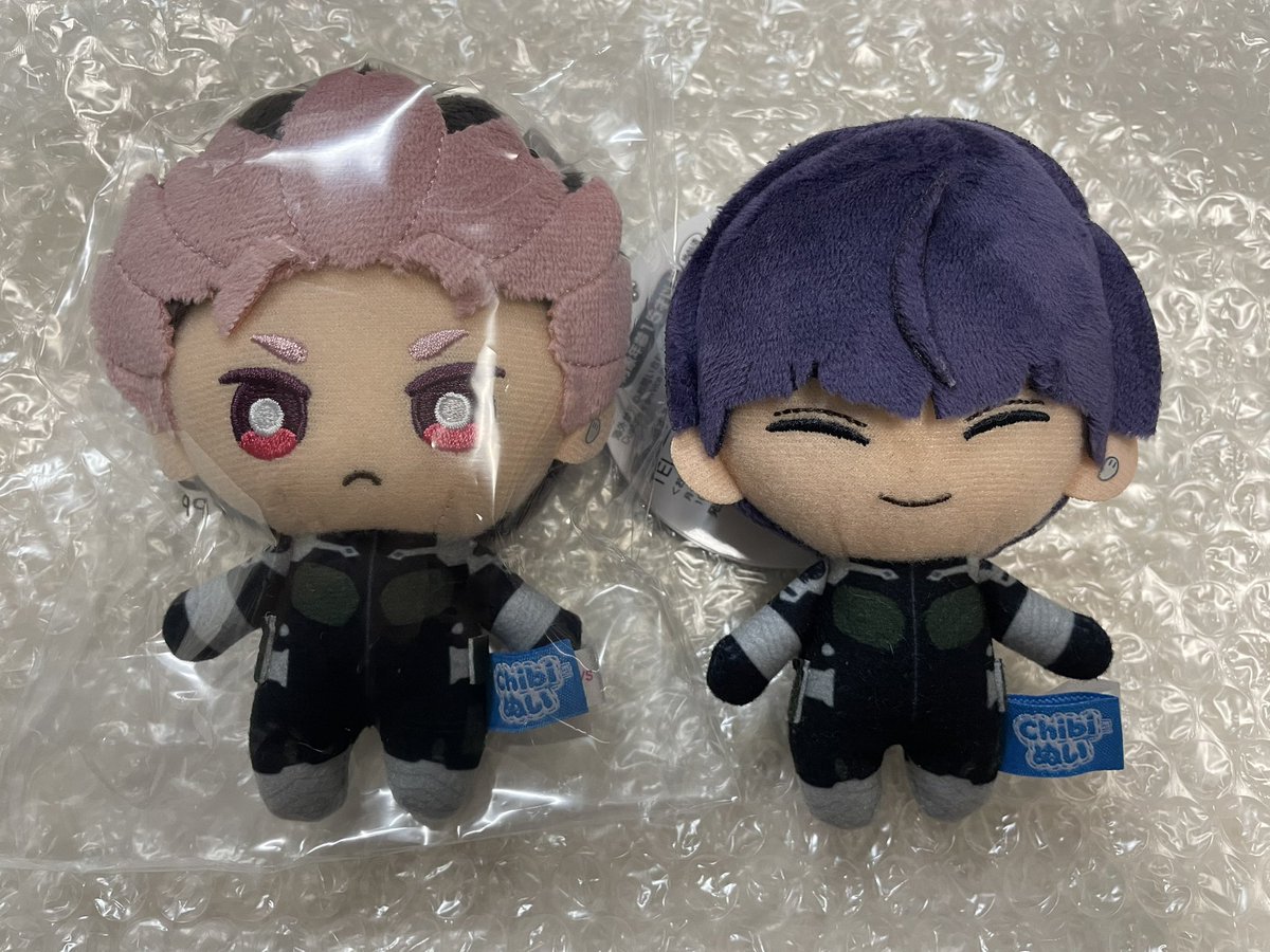 bx3gi's tweet image. なるぬい来た〜！！！！赤ちゃん！！！
ほちなさんより若干頭でかい！
