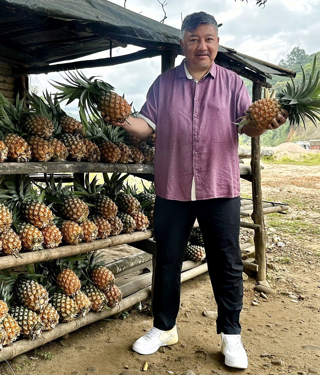 Arguably the finest in the world — Nagaland pineapples: juiciest, rich in aroma, and naturally sweet: Abu Metha, Advisor to the CM.

#Nagaland #Pineapple