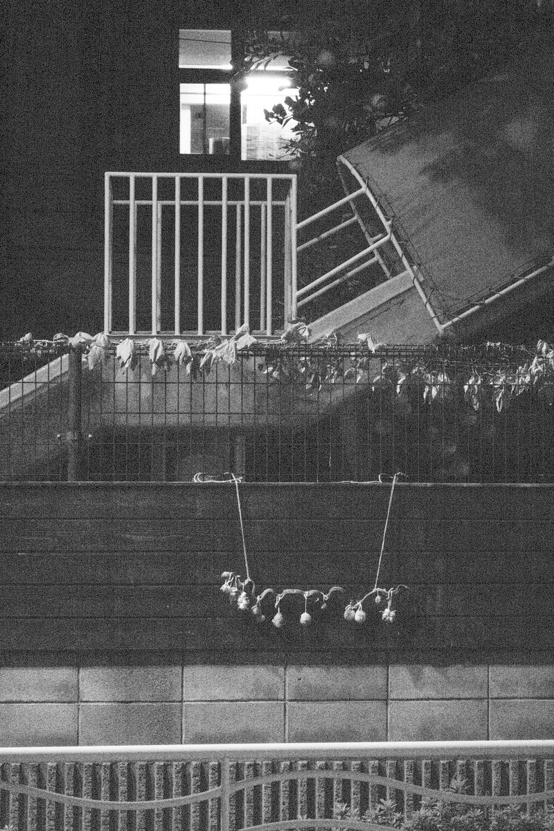 제곱이 (@thesquareoftwo) on Twitter photo 