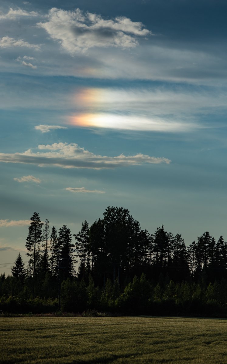 Alasimen rippeisiin syntynyt kirkas sivuaurinko toissapäivältä Jepualta.