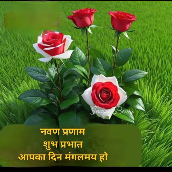 सुप्रभात, आपके लिये मंगलवार मंगलमय रहे।
