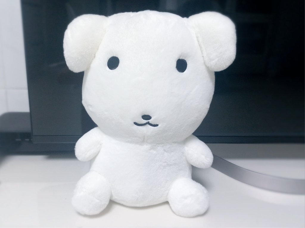 _502209_'s tweet image. 가나디 왔음 코요움