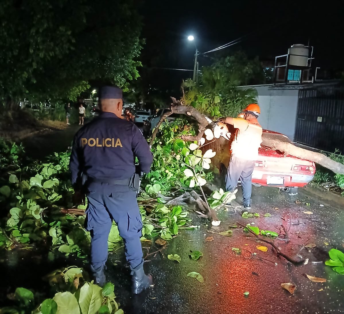 PNCSV's tweet image. Un árbol cayó sobre un vehículo que se encontraba estacionado en el boulevard El Jabalí, Soyapango, San Salvador Este.
Solo se reportan daños materiales, nuestros policías se encuentran en la zona.