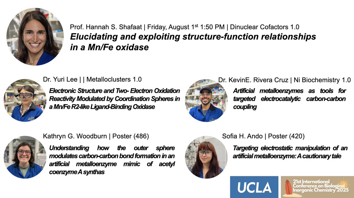 H.S. Shafaat tweet media