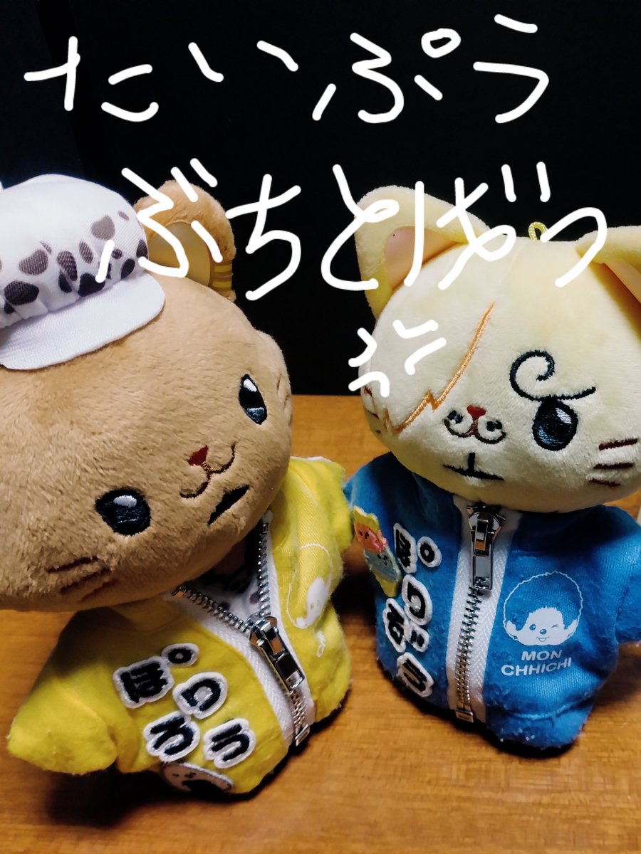 ぽりぞう が 台風しめるってよ。
（みなさま無事楽しめますように）