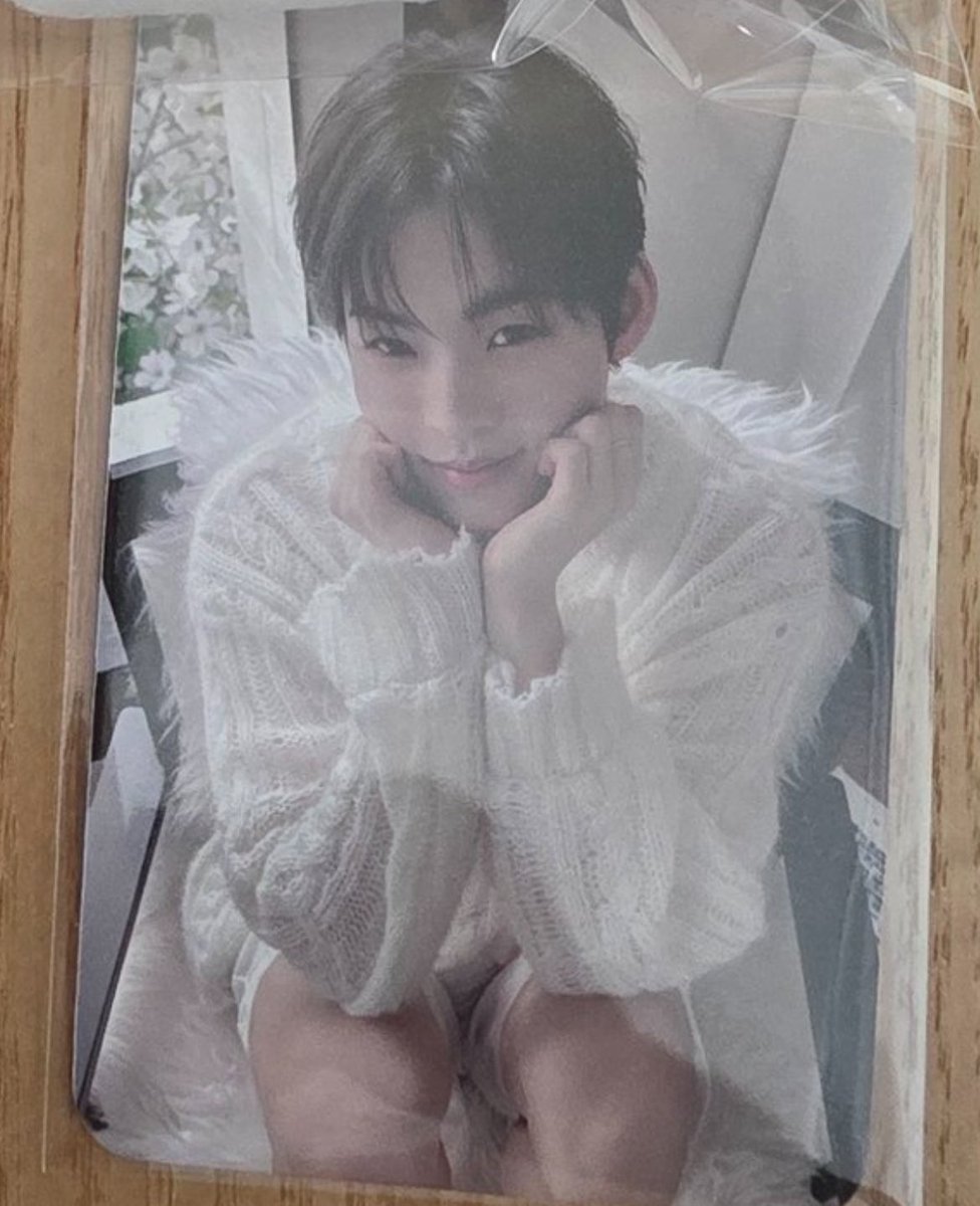 seaforests's tweet image. heโs like if an angel was a borrowerโฆabsolutely minuscule ๐ญ