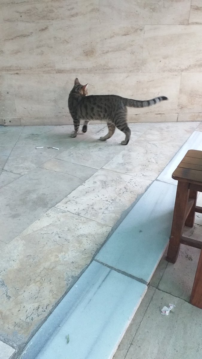 bu nedir ya? hayata mı küstün bana mı küstün? sırtını döndün.