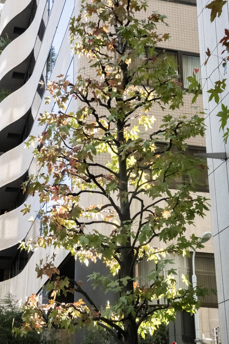 제곱이 (@thesquareoftwo) on Twitter photo 