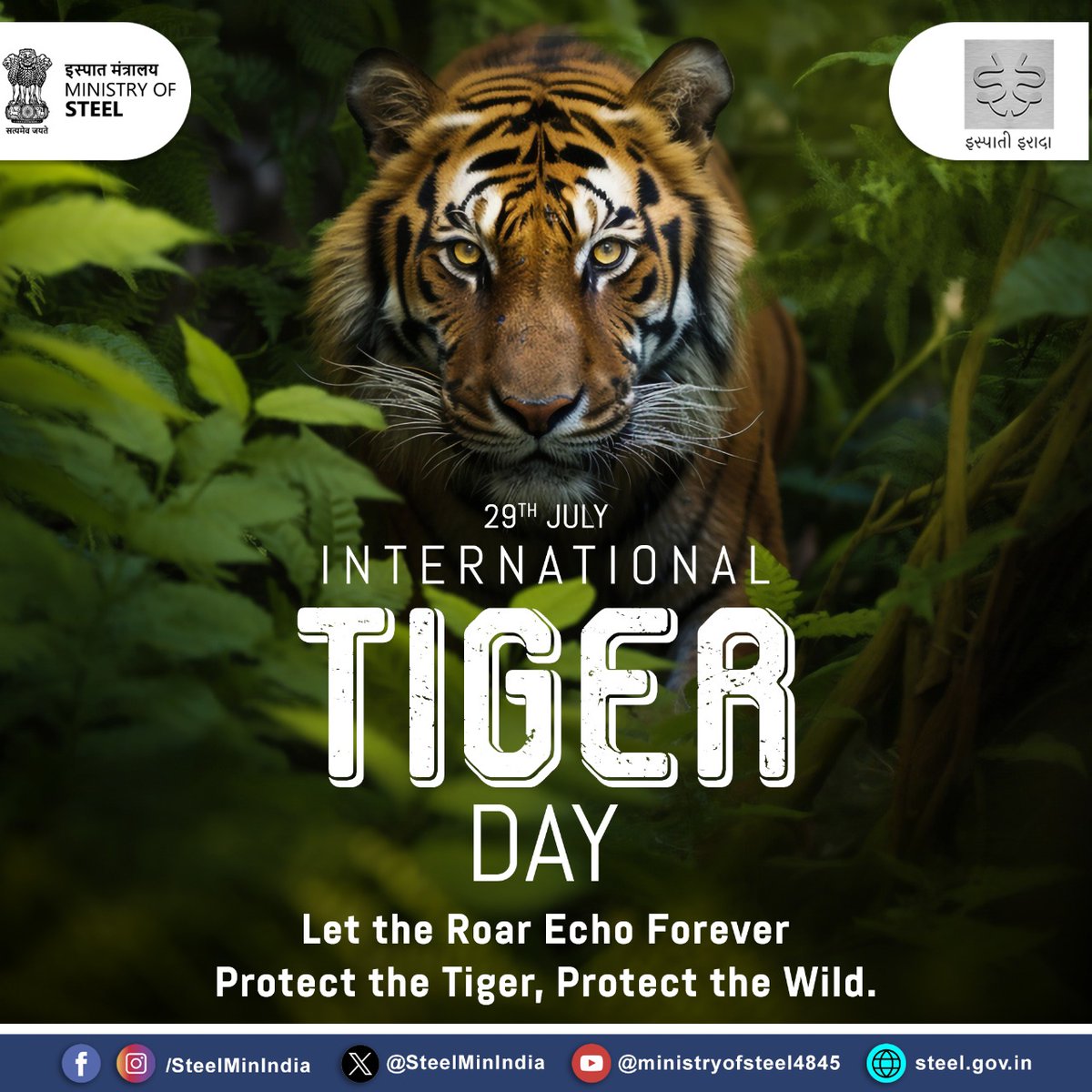 Ministry of Steel (@steelminindia) on Twitter photo This #InternationalTigerDay, let’s amplify the call to protect our national treasure.🐅 Protect habitats, say no to illegal trade & spread awareness.
Saving tigers is saving nature’s balance.🌿
Let the roar echo forever.🐾
<a href="/moefcc/">MoEF&CC</a> <a href="/PIB_India/">PIB India</a> <a href="/MIB_India/">Ministry of Information and Broadcasting</a> <a href="/mygovindia/">MyGovIndia</a> This #InternationalTigerDay, let’s amplify the call to protect our national treasure.🐅 Protect habitats, say no to illegal trade & spread awareness.
Saving tigers is saving nature’s balance.🌿
Let the roar echo forever.🐾
<a href="/moefcc/">MoEF&CC</a> <a href="/PIB_India/">PIB India</a> <a href="/MIB_India/">Ministry of Information and Broadcasting</a> <a href="/mygovindia/">MyGovIndia</a>