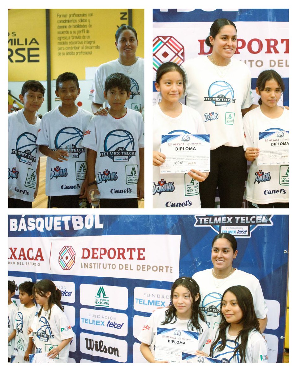 Liga Telmex-Telcel tweet media