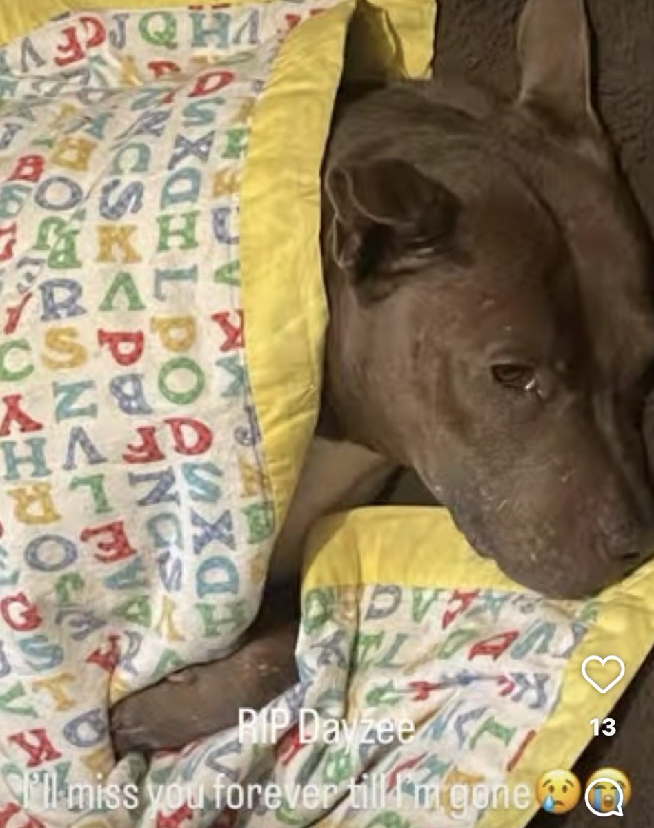 I just saw this today 👇🏾 It’s my dog whose good girl Dayzee,my brother made video with her today 💯 I cried so bad after seeing this 🥺 This hurts my heart that she’s gone 😭🙏🏾❤️🙏🏾 It’s why I haven’t been talking that much on here today,She was a cute dog who was the sweetest