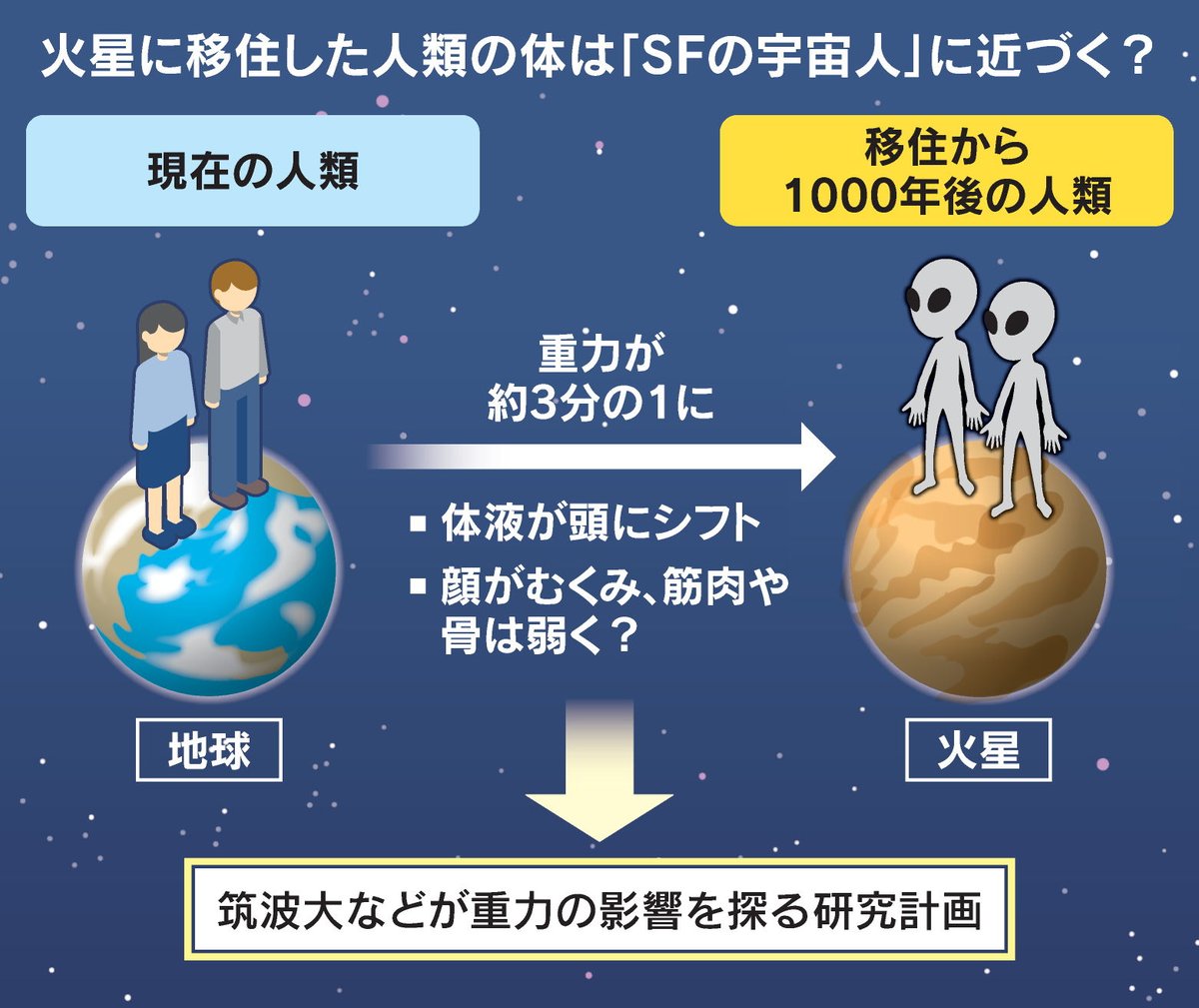 人類が宇宙移住したら1000年後どうなる？ https://t.co/Ms5u22cWDy  体形は細く、顔は不釣り合いに大きい――。一部の研究では宇宙への移住が将来実現したら、1000年後の人類はこの宇宙人に似た姿に変わる可能性を示しています。