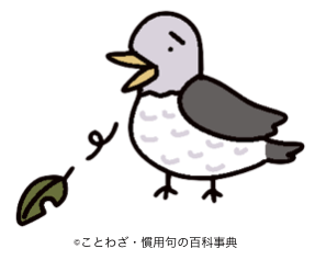 「告知」（拡散求ム）
夏のイベントツアーのお知らせ
8月11日　西舞子ティーブティックサイータ様
8月14日　相模原　パンディエン様
8月15日　吉祥寺　青蛾茶房様
似て台湾茶のトーク＆試飲イベントやります
お席は泣けるほどございます…
是非お誘い合わせの上お越しください
寂しすぎて泣きそう